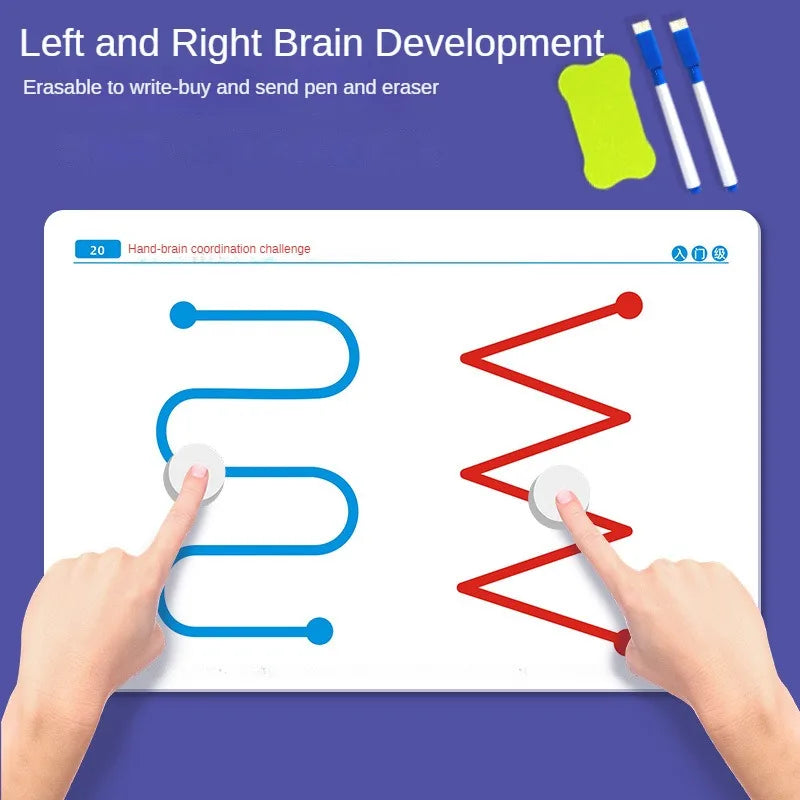 20pcs Left and Right Brain Development Toys, Whole Brain Thinking Training, Fine Motor Training Aids, Gaming Gift